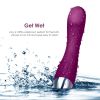 Female G-spot Vibrator and Adult Sex Toy; Pink and Purple