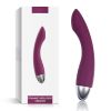 Female G-spot Vibrator and Adult Sex Toy; Pink and Purple